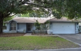 17549 Willow Pond Dr Lutz, FL 33549 - Image 17401268