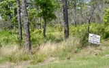 Lot 31 Royal Tern Way Carrabelle, FL 32322 - Image 17440676