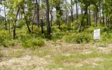 Lot 26 Royal Tern Way Carrabelle, FL 32322 - Image 17440677