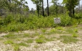 Lot 15 Royal Tern Way Carrabelle, FL 32322 - Image 17440678