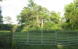 19784 116th Ave S Boca Raton, FL 33498 - Image 17455747