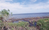 2412 HWY 98 Carrabelle, FL 32322 - Image 17460939