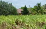 182 SW 136 ST APPROX Miami, FL 33196 - Image 17473979