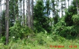 22 Edith Lane Palm Coast, FL 32164 - Image 17495907