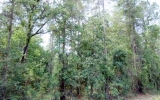 204th St.- Lot 21 O Brien, FL 32071 - Image 17505837