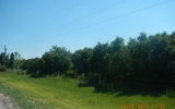 Lot 3 Ganey Ln Zolfo Springs, FL 33890 - Image 17581055